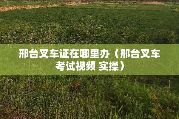 邢台叉车证在哪里办（邢台叉车考试视频 实操）