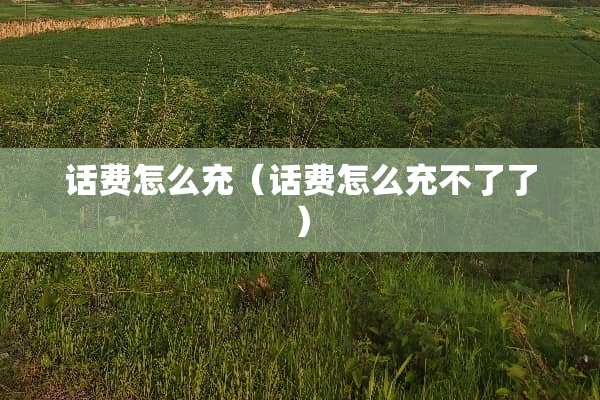 话费怎么充（话费怎么充不了了）
