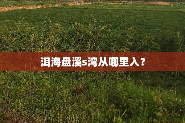 洱海盘溪s湾从哪里入？