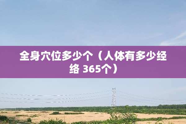 全身*位多少个（人体有多少经络 365个）