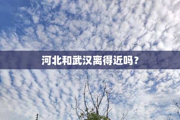 河北和武汉离得近吗？