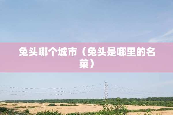 兔头哪个城市（兔头是哪里的名菜）