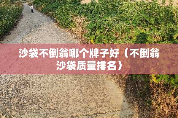 沙袋不倒翁哪个牌子好（不倒翁沙袋质量排名）