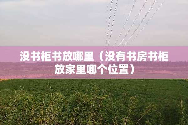 没书柜书放哪里（没有书房书柜放家里哪个位置）