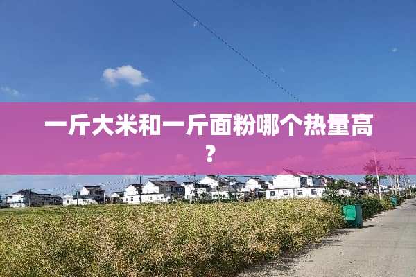 一斤大米和一斤面粉哪个热量高？