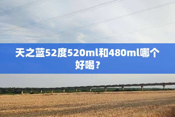 天之蓝52度520ml和480ml哪个好喝？
