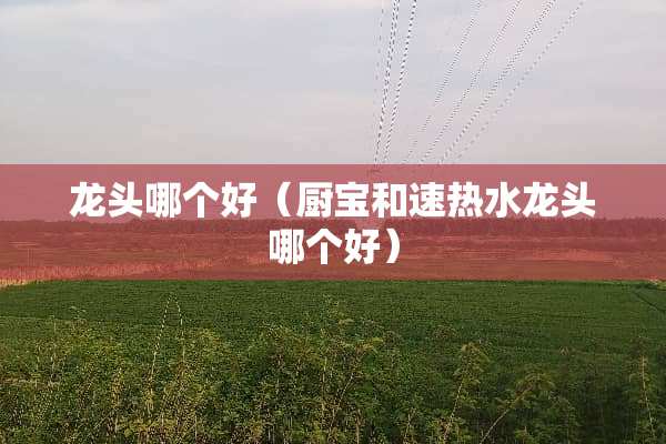 龙头哪个好（厨宝和速热水龙头哪个好）
