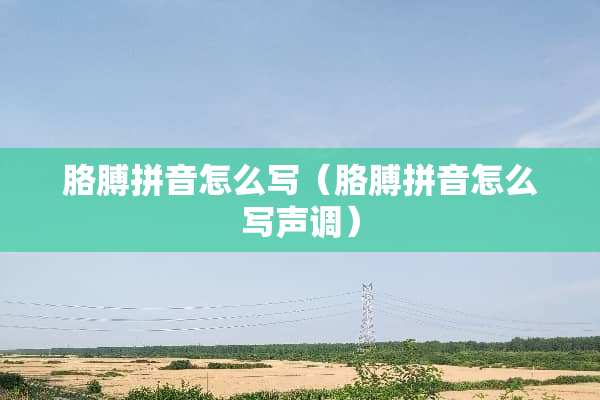 胳膊拼音怎么写（胳膊拼音怎么写声调）