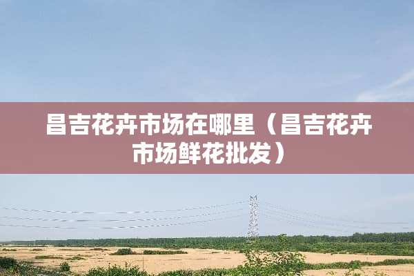 昌吉花卉市场在哪里（昌吉花卉市场鲜花批发）