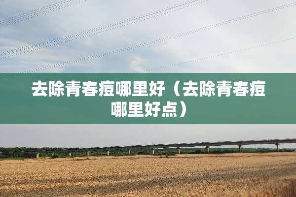 去除青春痘哪里好（去除青春痘哪里好点）