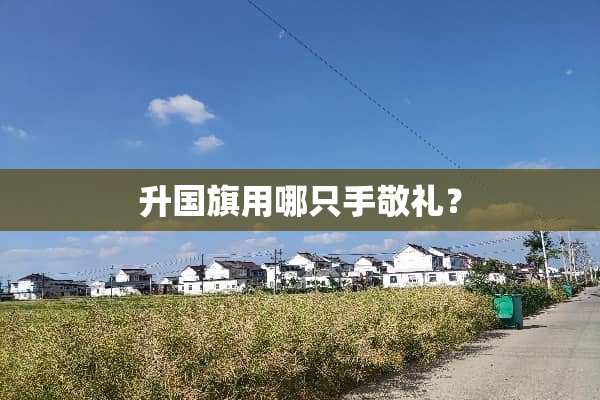 升国旗用哪只手敬礼？