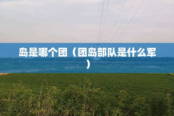岛是哪个团（团岛**是什么军）