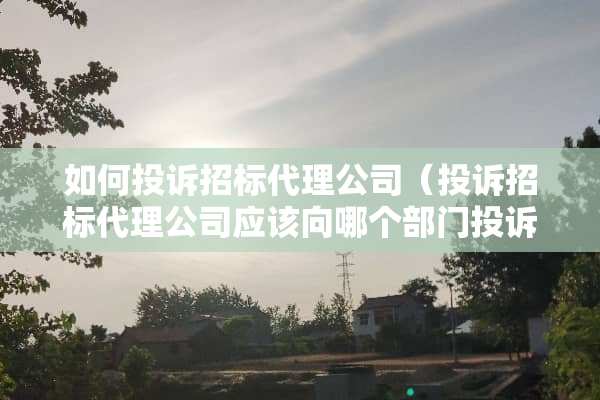 如何投诉招标代理公司（投诉招标代理公司应该向哪个部门投诉）