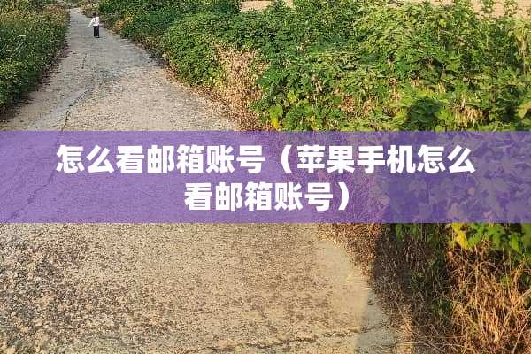 怎么看邮箱账号（苹果手机怎么看邮箱账号）