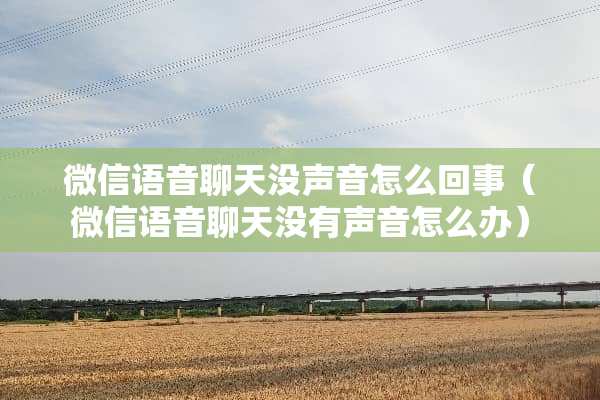 微信语音聊天没声音怎么回事（微信语音聊天没有声音怎么办）
