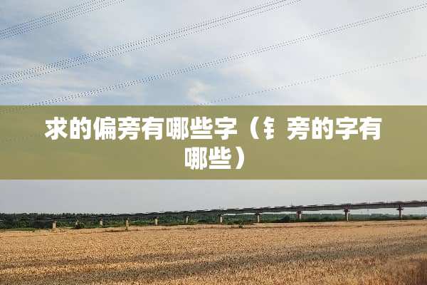 求的偏旁有哪些字（钅旁的字有哪些）