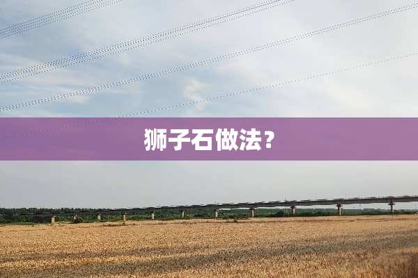 狮子石做法？
