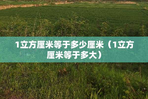 1立方厘米等于多少厘米（1立方厘米等于多大）