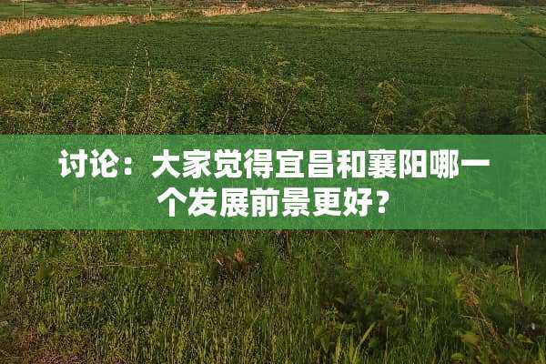 讨论：大家觉得宜昌和襄阳哪一个发展前景更好？