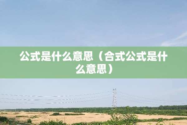 公式是什么意思（合式公式是什么意思）