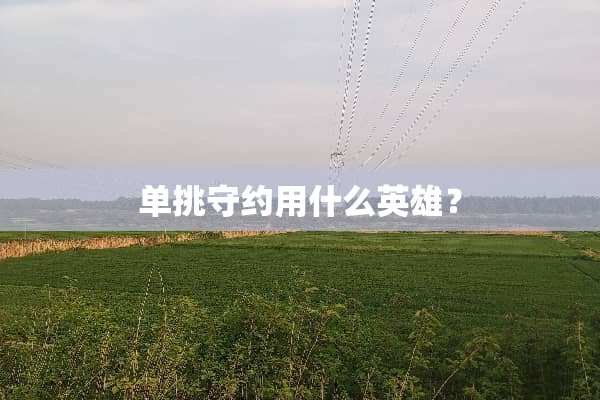 单挑守约用什么英雄？