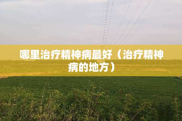 哪里治疗精神病最好（治疗精神病的地方）