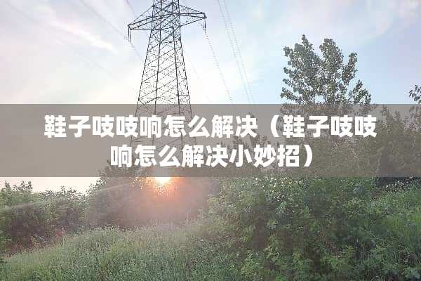 鞋子吱吱响怎么解决（鞋子吱吱响怎么解决小妙招）