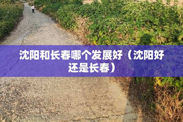 沈阳和长春哪个发展好（沈阳好还是长春）