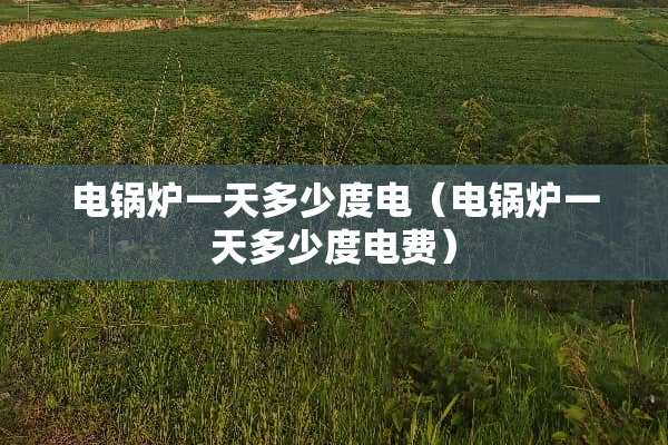 电锅炉一天多少度电（电锅炉一天多少度电费）