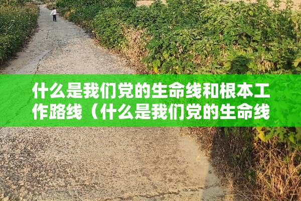什么是我们*的生命线和根本工作路线（什么是我们*的生命线和根本工作路线是）