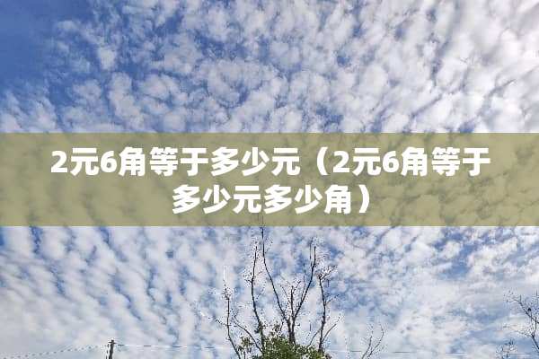 2元6角等于多少元（2元6角等于多少元多少角）