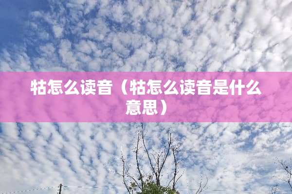 牯怎么读音（牯怎么读音是什么意思）