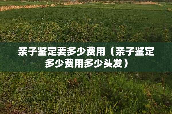 亲子鉴定要多少费用（亲子鉴定多少费用多少头发）