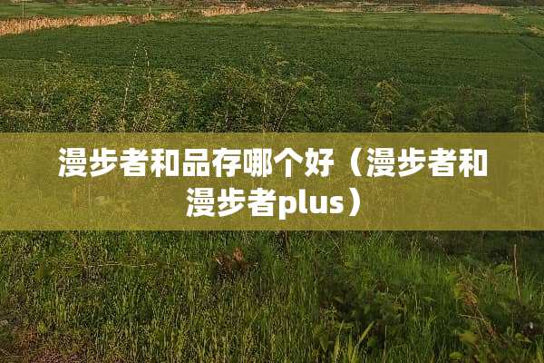 漫步者和品存哪个好（漫步者和漫步者plus）