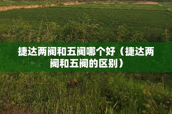 捷达两阀和五阀哪个好（捷达两阀和五阀的区别）