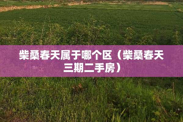 柴桑春天属于哪个区（柴桑春天三期二手房）