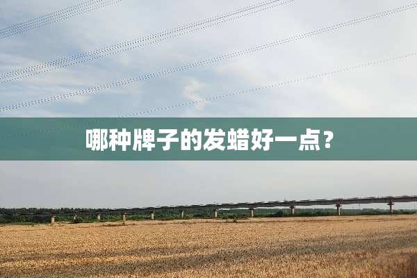 哪种牌子的发蜡好一点？