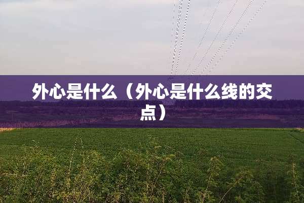 外心是什么（外心是什么线的交点）