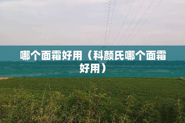 哪个面霜好用（科颜氏哪个面霜好用）