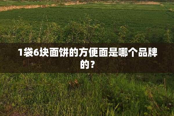 1袋6块面饼的方便面是哪个品牌的？
