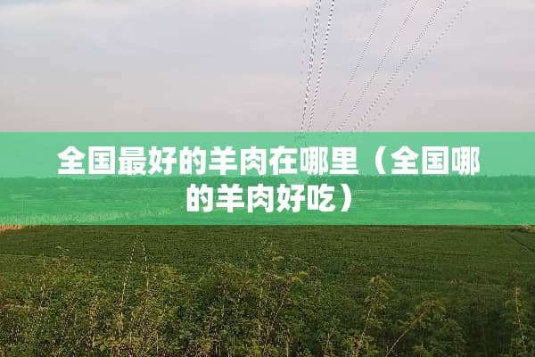 全国最好的羊肉在哪里（全国哪的羊肉好吃）