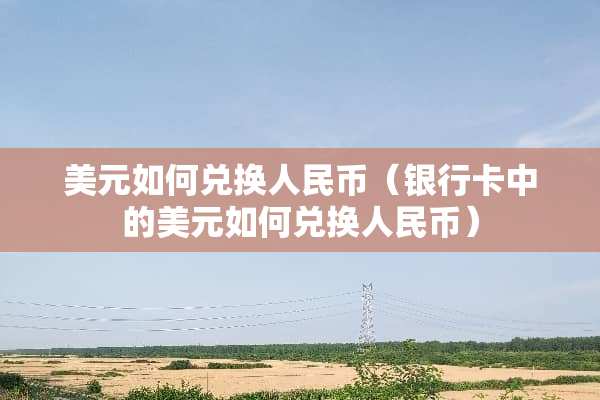 美元如何兑换人民币（***中的美元如何兑换人民币）