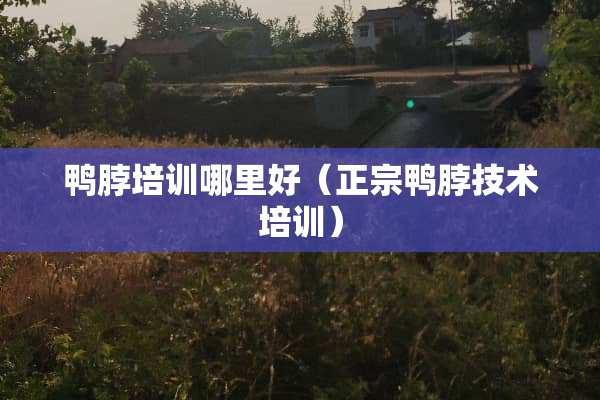 鸭脖培训哪里好（正宗鸭脖技术培训）