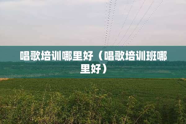 唱歌培训哪里好（唱歌培训班哪里好）