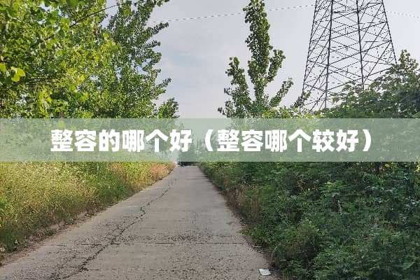 整容的哪个好（整容哪个较好）