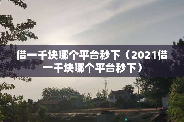 借一千块哪个平台秒下（2021借一千块哪个平台秒下）
