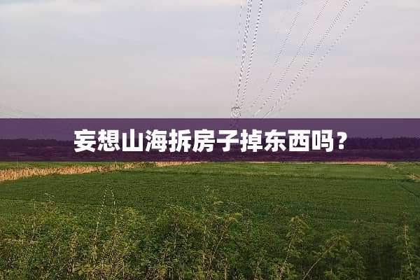 妄想山海拆房子掉东西吗？