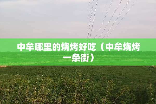 中牟哪里的烧烤好吃（中牟烧烤一条街）