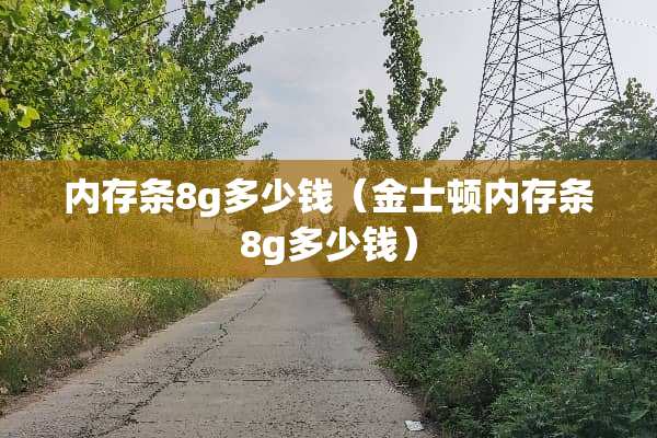 内存条8g多少钱（金士顿内存条8g多少钱）