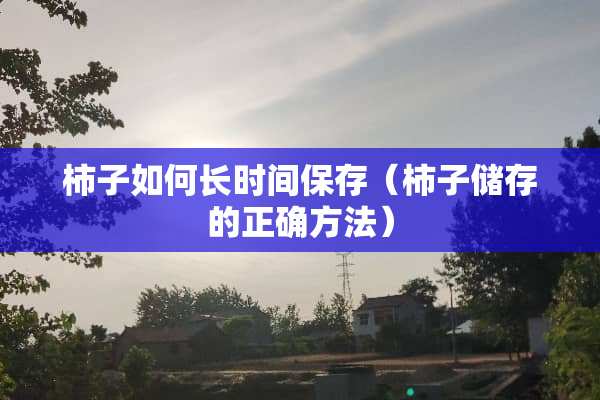 柿子如何长时间保存（柿子储存的正确方法）